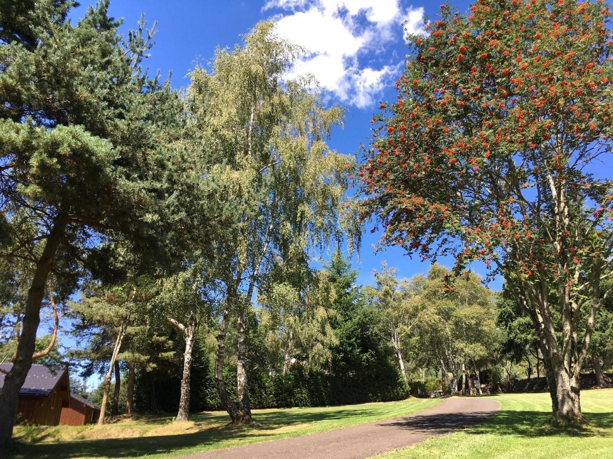 Domaine Les 2 Mondes Hotell Aydat Exteriör bild